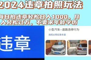 (11743期)2024违章拍照新玩法,推广躺赚+拍照赚钱双模式,日入1000+