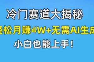 冷门赛道大揭秘，轻松月赚1W+无需AI生成，小白也能上手【揭秘】