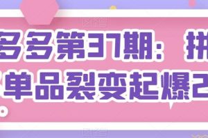 拼多多第37期：拼多多单品裂变起爆2.0