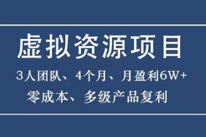 暴疯团队虚拟资源项目-新手、高客单价、多产品复利