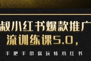 狼叔小红书爆款推广引流训练课5.0，手把手带你玩转小红书（17节实操视频+话术）