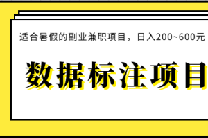 数据标注项目：适合暑假的副业兼职项目，日入200~600元