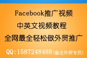 Facebook营销推广视频 facebook中英文教程（双语）外贸SNS推广