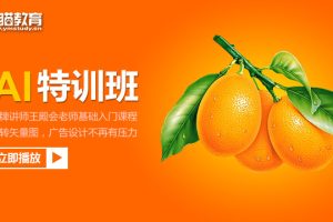 夜猫教育AI特训班（玩转矢量图，广告设计不再有压力）共11节【价值188元】
