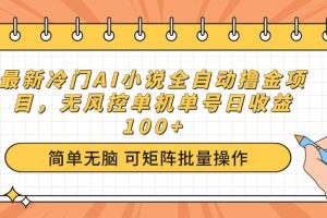 （14292期）最新冷门AI小说全自动撸金项目，无风控单机单号日收益100+