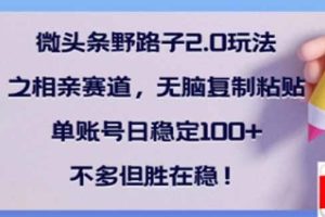 （14333期）微头条野路子2.0玩法之相亲赛道，无脑搬砖复制粘贴，单账号日稳定300+…