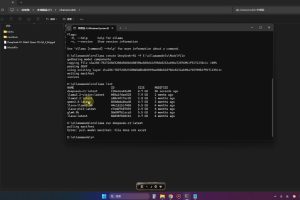 2025年deepseek R1 大型模型本地安装部署(文件+教程)