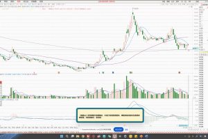 大师兄·鹿鼎山系列内部课程(更新2025年1月)