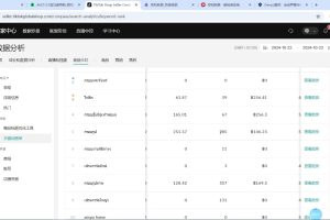 大鱼老师·Tiktok东南亚小店运营