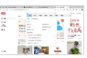全域运营操盘(抖音+私域+小红书)