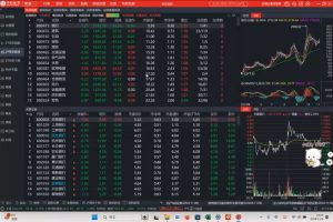 张月老师·2024低风险股票实操营(更新11月)