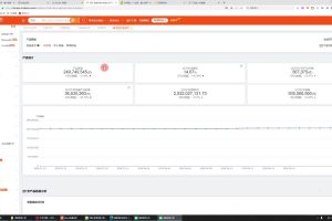万老师·2024TikTok小店运营课程