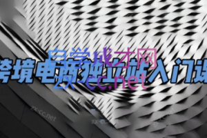 团长·跨境电商独立站入门课(2小时精华)