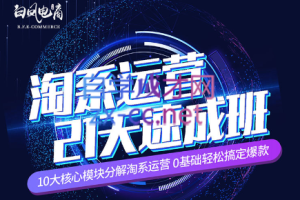 淘系运营21天速成班(更新24年6月)
