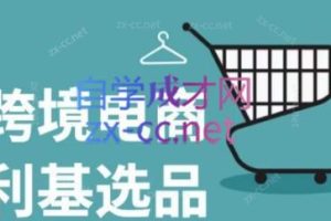 阿甘·2024年跨境电商选品案例(更新)