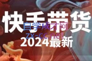 快手带货(2024最新)