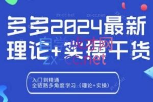 拼多多2024最新规则理论结合实际的干货
