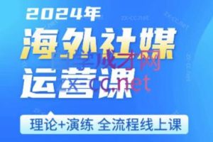 跨境小P哥·海外社媒运营课