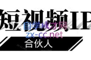 铭则老师·短视频IP合伙人(更新24年)