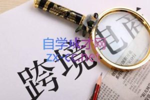 帮课大学VIP会员课程(更新24年3月)