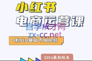 达哥·小红书电商运营(2024版)