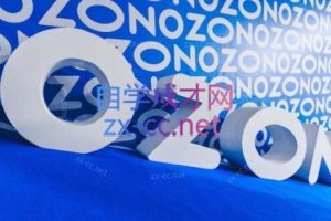 森哥·出海俄罗斯电商实操(2024)