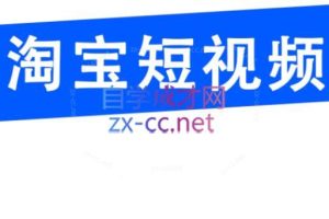 创北电商·淘宝短视频店群(更新24年2月)
