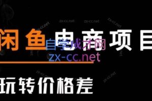 亿创繁星·闲鱼电商项目(玩转价格差)