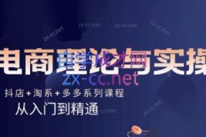 磊子·电商理论与实操(抖店+淘系+拼多多)