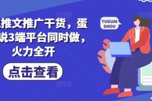 小说推文推广干货，蛋花小说3端平台同时做，火力全开