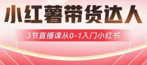 小红薯达人带货启航计划,3节直播课从0-1入门小红书