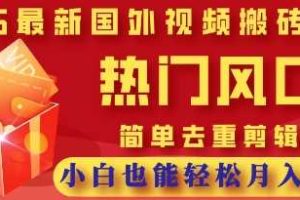2025最新视频搬砖项目，热门风口，简单去重剪辑，小白也能轻松月入过W