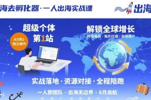 出海去孵化器，一人出海实战课，​超级个体第1站，解锁全球增长
