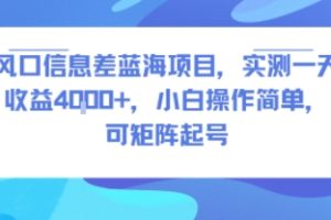 风口信息差蓝海项目，实测一天收益4k+，小白操作简单，可矩阵起号