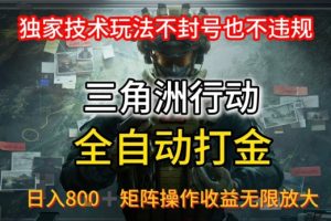 三角洲最新全自动G机，独家技术玩法，不封号也不违规， 日入8张+可矩阵操作，收益无限放大【揭秘】