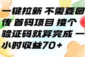 一键拉新 不需要回传 首码项目 接个验证码就算完成 一小时收益70+【揭秘】