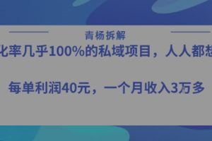 转化率最高的私域项目，每单利润40-50米，月入过1w