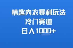 情趣内衣暴利玩法，冷门赛道，日入1k+