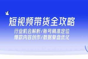 短视频带货全攻略，行业机会解析/账号精准定位/爆款内容创作/数据复盘优化