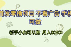 首发零撸项目 不看广告 手机可做 新手小白可以做  月入3k+【揭秘】
