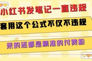 小红书发笔记一直违规，套用这个公式不仅不违规，来的还都是精准的付费粉