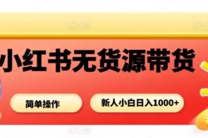 小红书无货源带货项目，简单无脑，新人小白日入多张