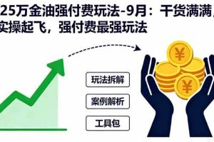 （16202期）2025万金油强付费玩法-9月：干货满满，全程实操起飞，强付费最强玩法