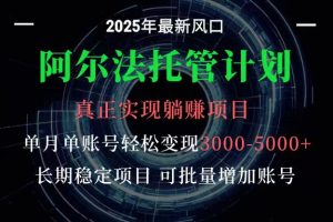 阿尔法托管计划 单账号月入3000-5000，长期稳定项目，新手小白轻松上手