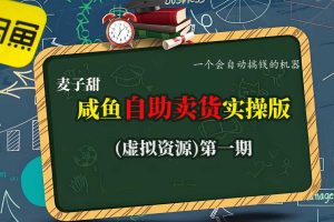 麦子甜咸鱼自助卖货实操版（虚拟资源）一个会自动搞钱的机器
