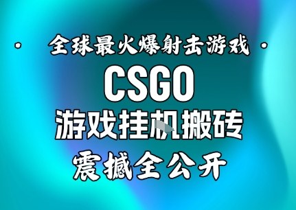 【年底大揭秘】基于全球最火爆的射击CSGO游戏挂G搬砖,日入5张+,震撼公开