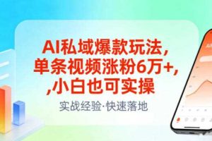 AI私域爆款玩法,单条视频涨粉6W+,小白也可实操