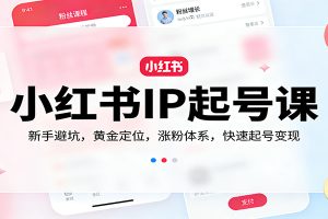 小红书IP起号课:新手避坑,黄金定位,涨粉体系,快速起号变现