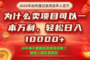 一单净利润1K+，26年想年入100个W，死磕卖项目就够了【揭秘】