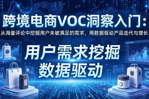 （17796期）跨境电商VOC洞察入门：从海量评论中挖掘用户未被满足的需求，用数据驱动产品迭代与增长